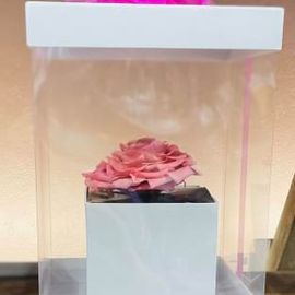 Pink Rose Preserved Gift Boxed