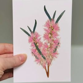 Pink Native Mini Card