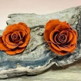 Preserved Rose Feature