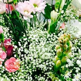 Babies Breath Bouquet