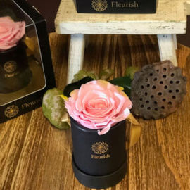 Pink Eternal Rose