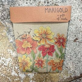 Marigold - Gifts Of Seeds
