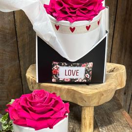 Preserved Hot Pink Preserved Rose