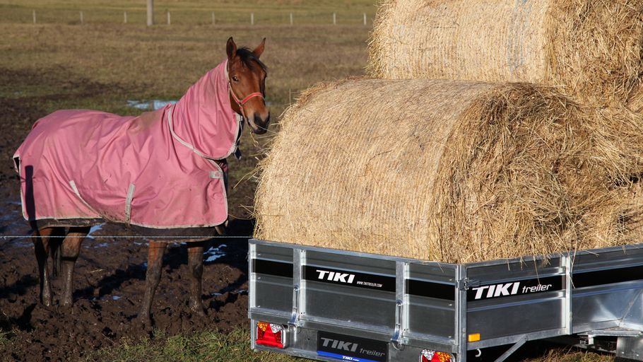 Obromsad släpvagn lastad med höbalar bredvid häst med rosa täcke