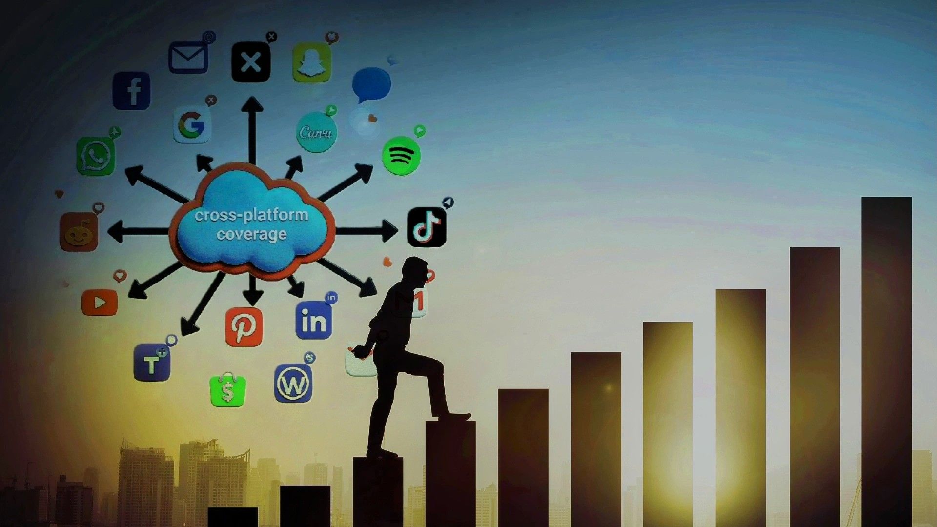 Search Playbook Solutions