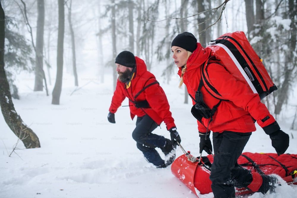 5 Reasons to Own A Snowmobile searchshop.com