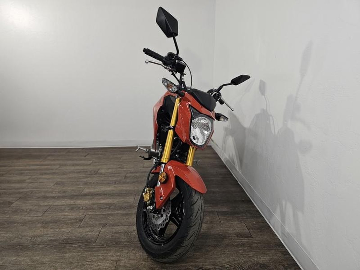 2025 Kawasaki Z125 PRO
