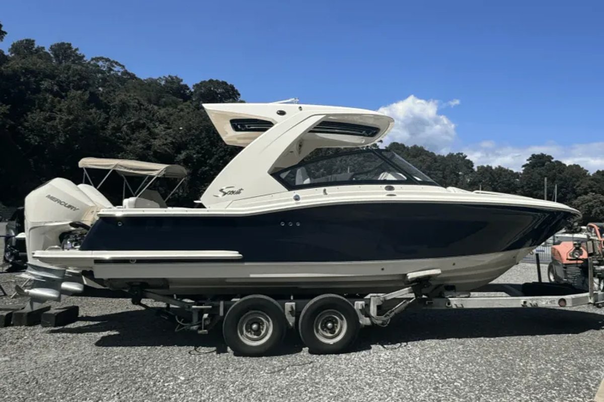 2025 Scout WHT 225 4S V6 CMS