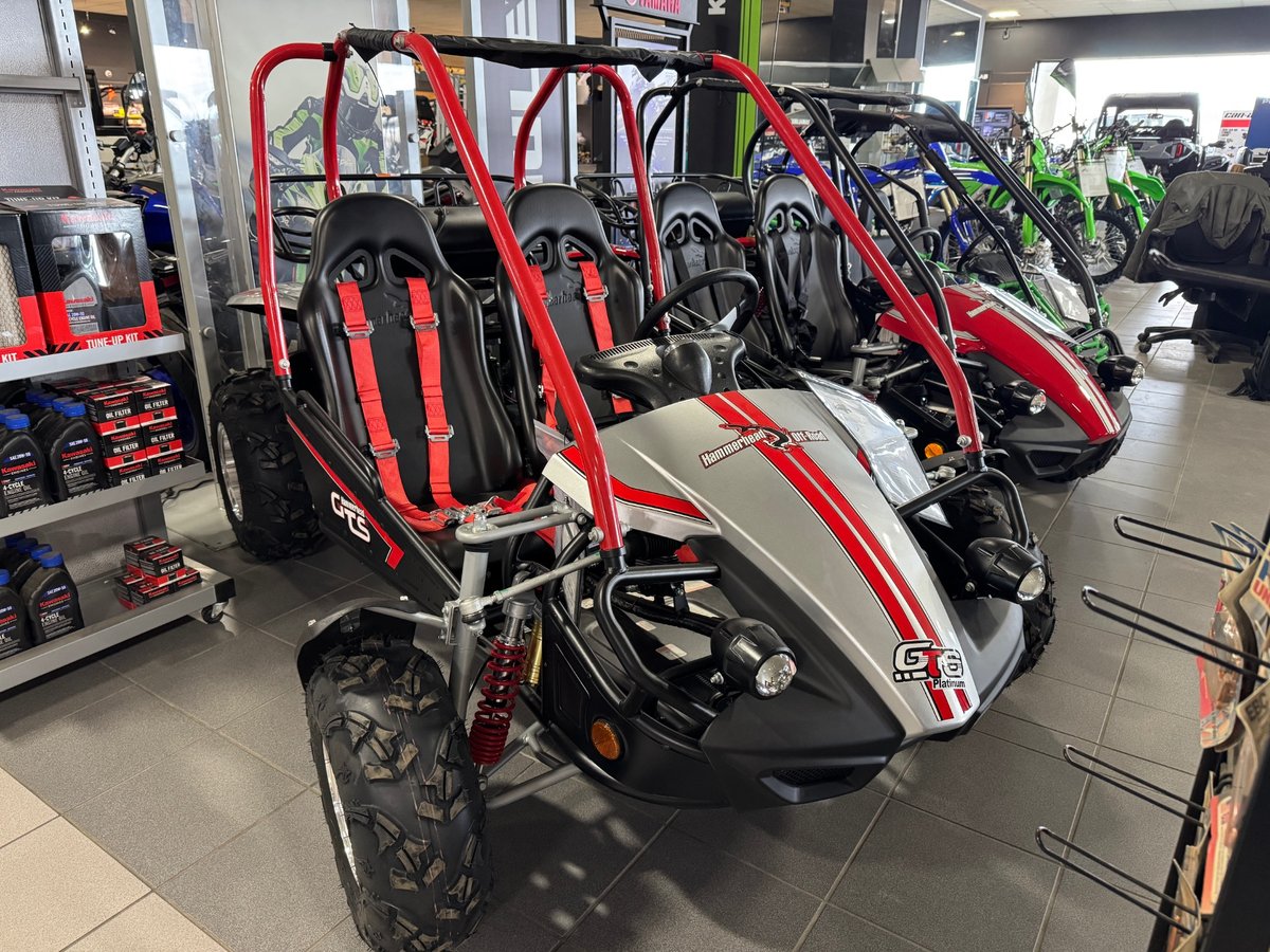 2026 Hammerhead Off-Road GTS Platinum