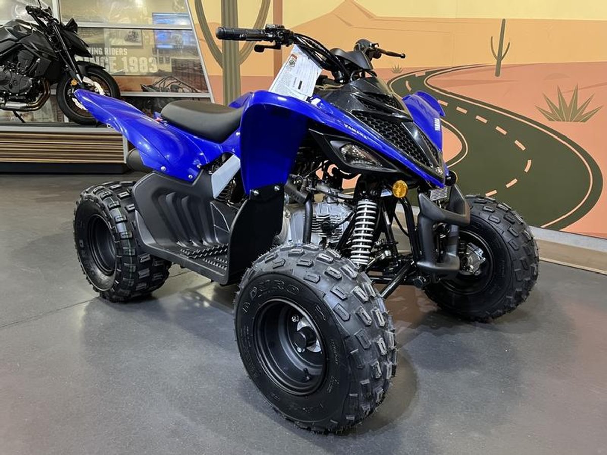 2026 Yamaha Raptor 110