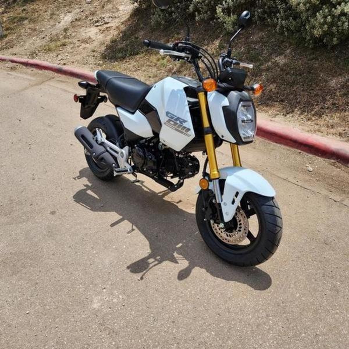 2026 Honda Grom