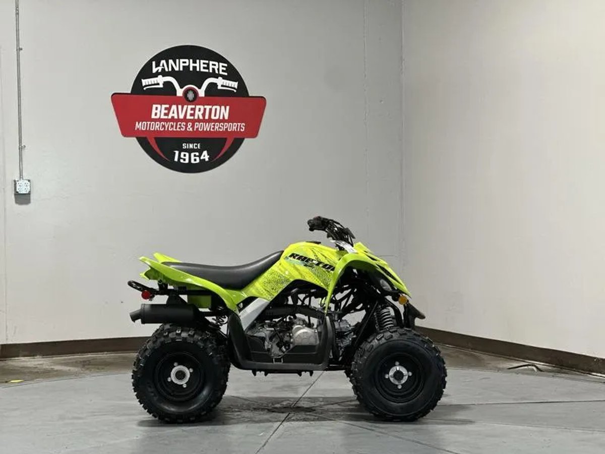 2026 Yamaha Raptor 110