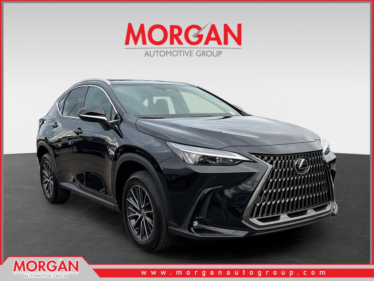 2024 Lexus NX