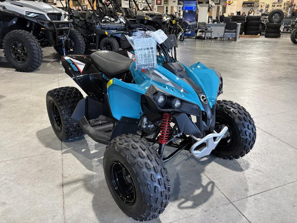 2026 Can-Am Renegade 110 EFI