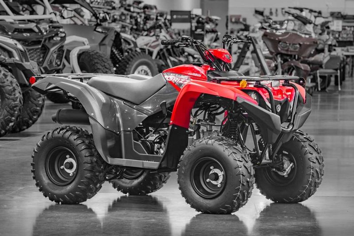 2025 Yamaha Grizzly 110