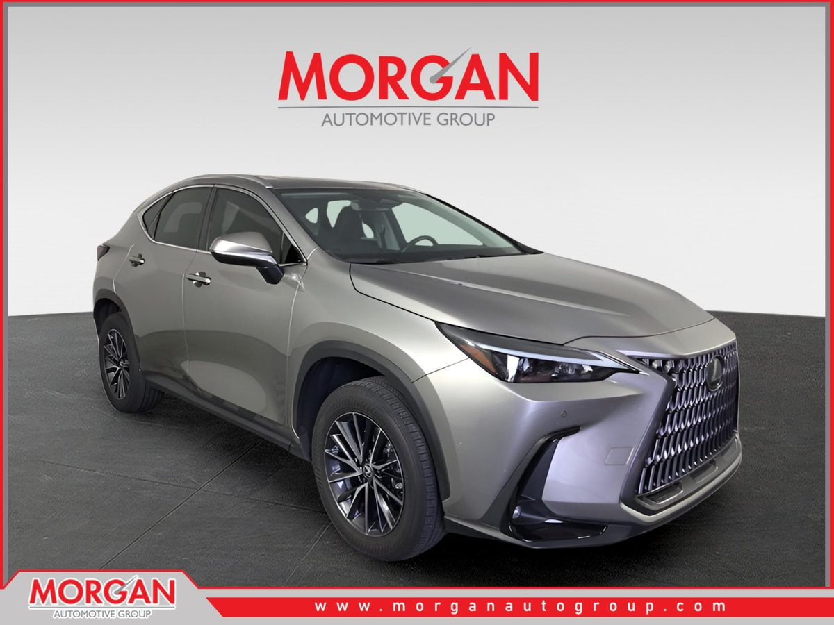 2024 Lexus NX