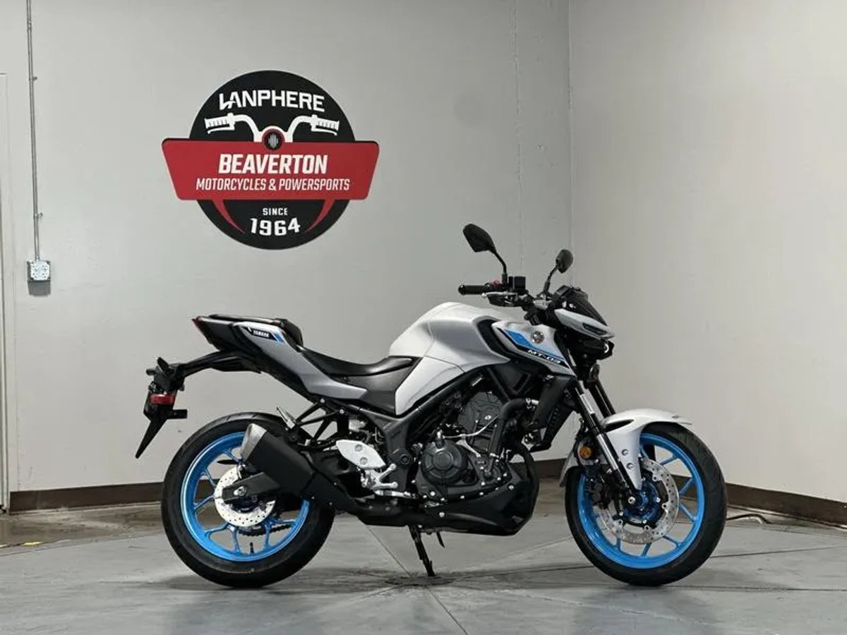 2026 Yamaha MT03TGY