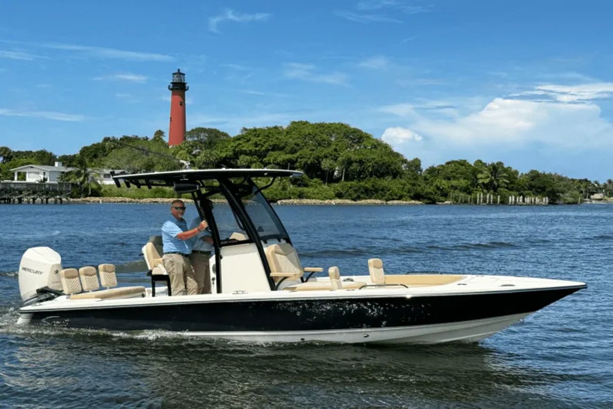 2024 Scout WHT 300 V8 AMS