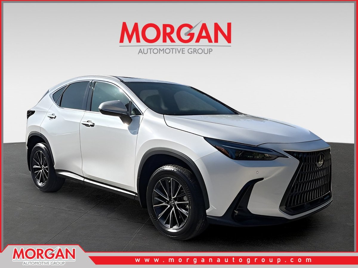 2024 Lexus NX