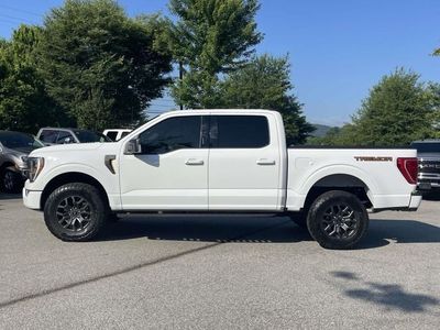 2023 Ford F-150 — side profile view