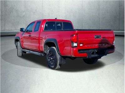 2019 Toyota Tacoma - Photo 8