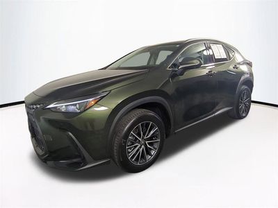 2025 Lexus NX - Photo 9