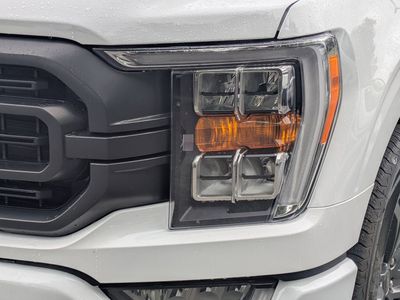 2023 Ford F-150 — photo 9 view