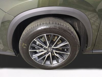 2025 Lexus NX - Photo 11