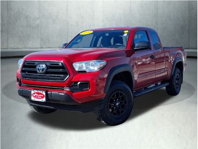 2019 Toyota Tacoma - Photo 5