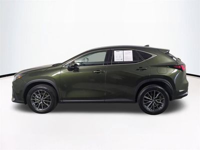 2025 Lexus NX - Photo 8
