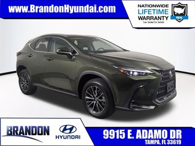 2025 Lexus NX - Photo 1