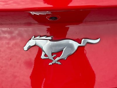 2024 Ford Mustang - Photo 11