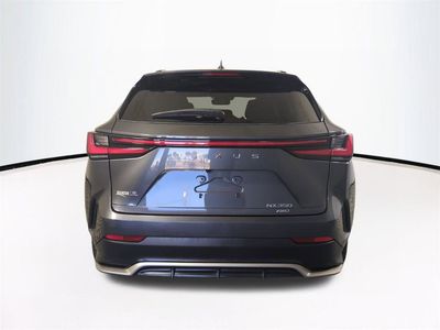 2024 Lexus NX - Photo 6