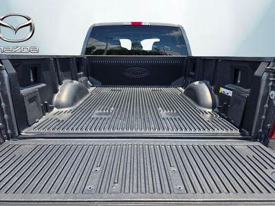 2025 Ford F-150 - Photo 15