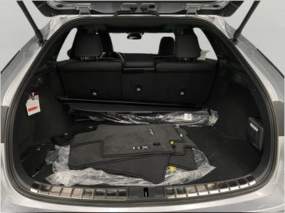 2025 Lexus RX — detail view