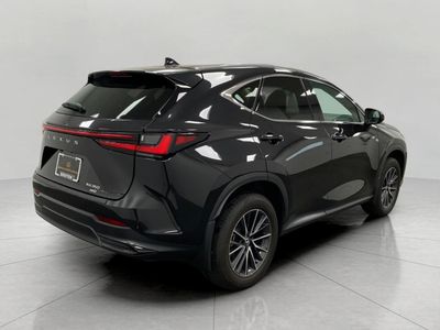 2024 Lexus NX — rear three-quarter view