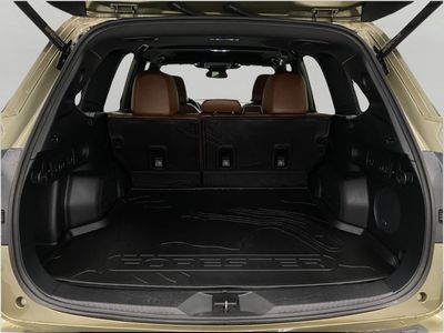 2025 Subaru Forester — detail view
