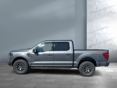 2026 Ford F-150 — rear three-quarter view
