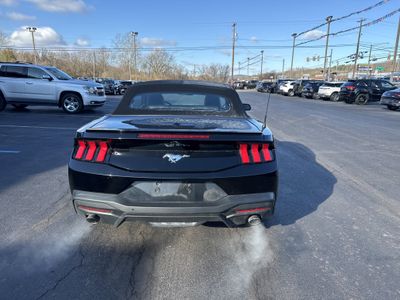 2025 Ford Mustang — interior view