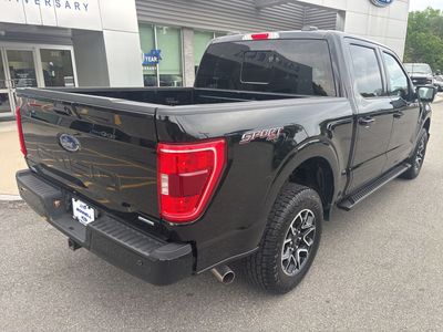 2023 Ford F-150 — rear three-quarter view