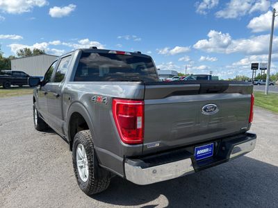 2023 Ford F-150 — rear three-quarter view