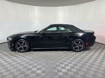 2025 Ford Mustang — detail view