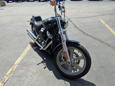 2024 HARLEY-DAVIDSON SOFTAIL — side profile view