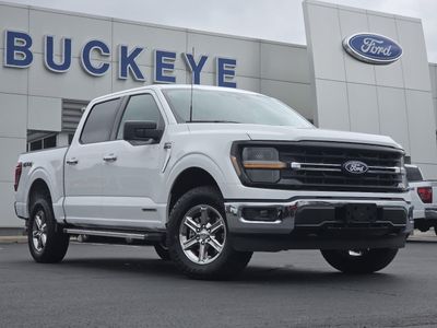 2025 Ford F-150 — side profile view