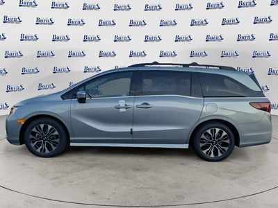 2026 Honda Odyssey — detail view