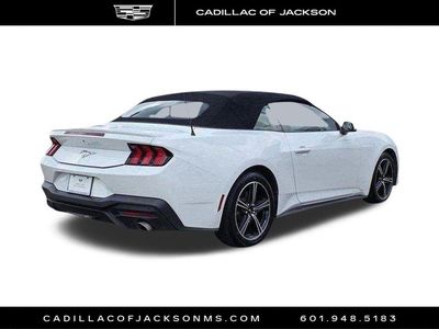 2024 Ford Mustang — detail view