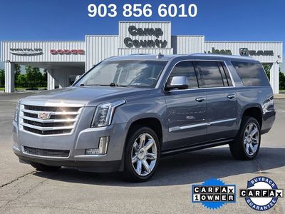 2019 Cadillac Escalade ESV — rear three-quarter view