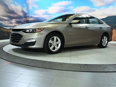 2024 Chevrolet Malibu — rear three-quarter view