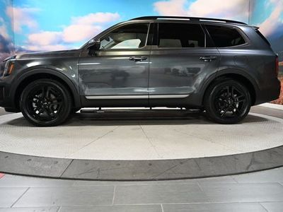 2023 Kia Telluride — detail view