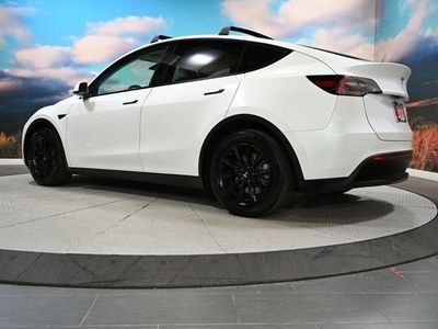2023 Tesla Model Y — detail view
